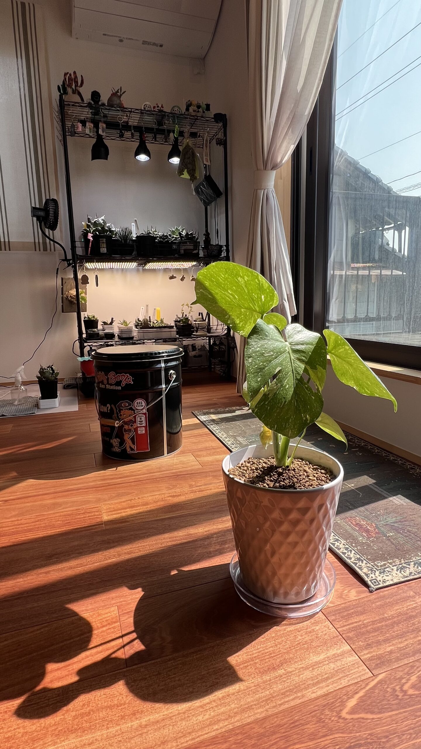 2人で育てるドライガーデン　ＷＡＶＥ