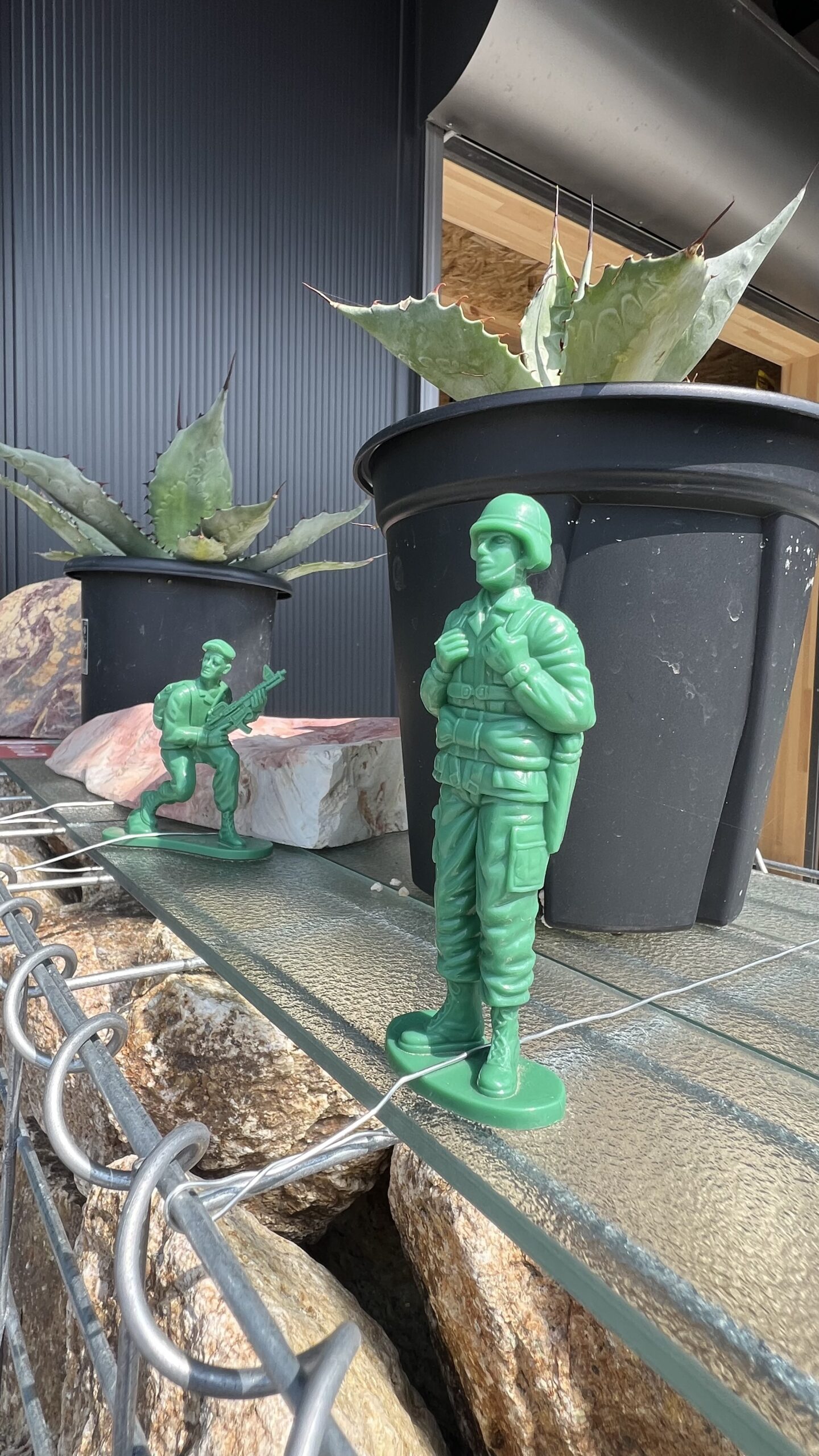 2人で育てるドライガーデン　ＷＡＶＥ